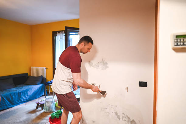 Best Bathroom Mold Remediation in Russiaville, IN