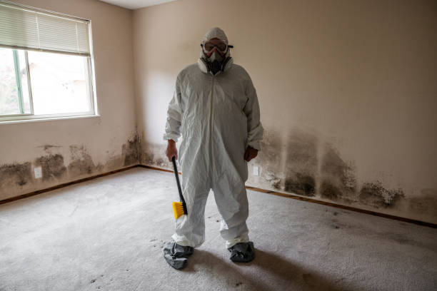 Best Post-Flood Mold Remediation in Russiaville, IN